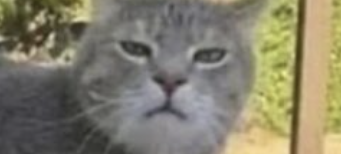 Memetic Monday: Fear is the Mind-Killer